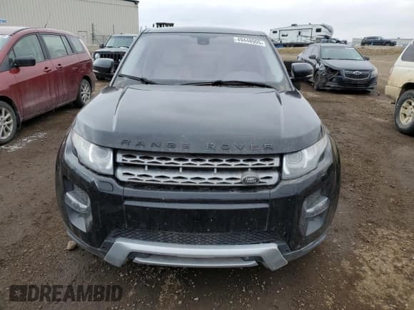 ✅ 2013 Land Rover Range Rover Evoque Pure Plus • VIN: SALVP2BG4DH809749 • Lot: 49448905. Listed on Copart with 125,444 mi. Free auction sales archive from the USA and detailed vehicle history report at DreamBid. Image 5.
