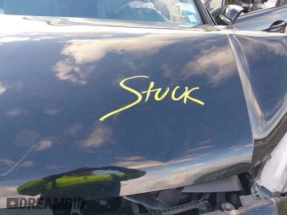 ✅ 2023 Honda Passport TrailSport • VIN: 5FNYF8H62PB040701 • Lot: 43494593. Listed on IAAI with 13,186 mi. Free auction sales archive from the USA and detailed vehicle history report at DreamBid. Image 10.