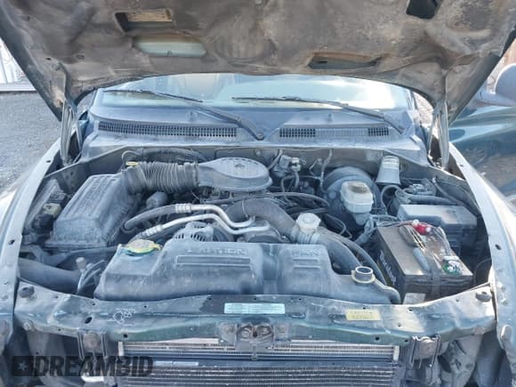 ✅ 2000 Dodge Durango • VIN: 1B4HS28Z1YF286488 • Lot: 43851756. Listed on IAAI with 151,201 mi. Free auction sales archive from the USA and detailed vehicle history report at DreamBid. Image 10.