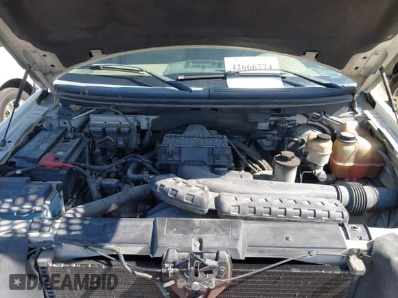 ✅ 2008 Ford F-150 XLT • VIN: 1FTPW12518FB34228 • Lot: 42666774. Listed on IAAI with 156,590 mi. Free auction sales archive from the USA and detailed vehicle history report at DreamBid. Image 10.