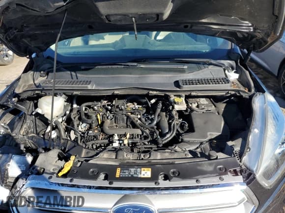 ✅ 2019 Ford Escape SEL • VIN: 1FMCU9HD8KUB25252 • Lot: 70593115. Listed on Copart with 100,204 mi. Free auction sales archive from the USA and detailed vehicle history report at DreamBid. Image 12.