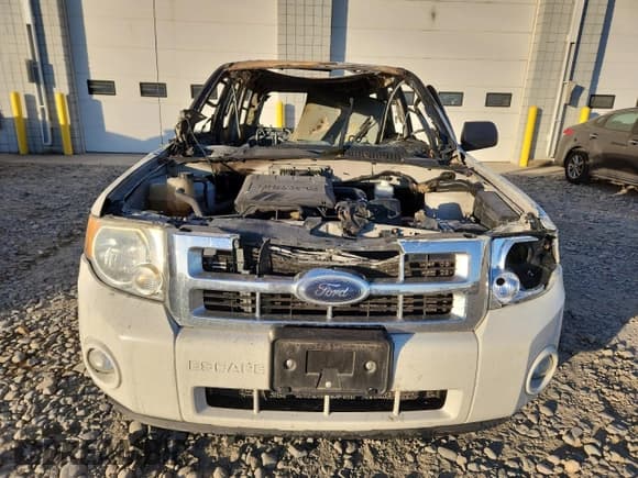 ✅ 2009 Ford Escape XLT • VIN: 1FMCU93G49KA21400 • Lot: 92828225. Listed on Copart with Not provided. Free auction sales archive from the USA and detailed vehicle history report at DreamBid. Image 5.