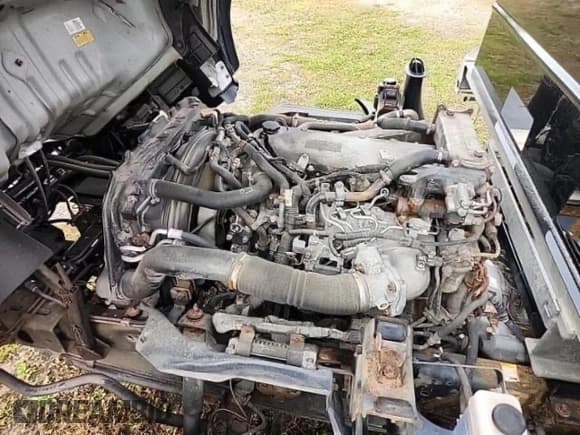 ✅ 2020 Isuzu NQR IBT • VIN: JALE5W165L7302634 • Lot: 76354514. Wystawiony na Copart z przebiegiem 116 501 mil. Bezpłatny archiwum sprzedaży aukcyjnych z USA i szczegółowy raport historii pojazdu na DreamBid. Zdjęcie 7.