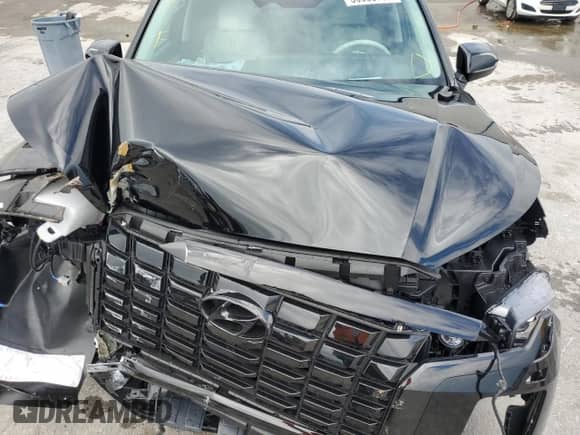 ✅ 2025 Hyundai Palisade Limited • VIN: KM8R54GE1SU895605 • Лот: 56933795. Размещён на Copart с пробегом 478 миль миль. Получите бесплатный доступ к архиву аукционных продаж из США и посмотрите подробный отчёт об истории автомобиля на DreamBid. Изображение 12.