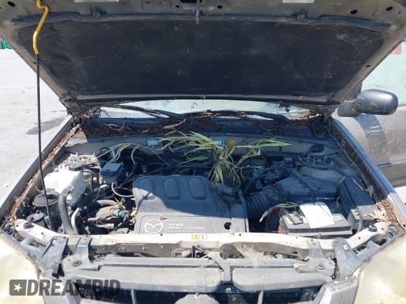 ✅ 2002 Mazda Tribute LX • VIN: 4F2YU09102KM42299 • Lot: 42927346. Wystawiony na IAAI z przebiegiem 283 827 mil. Bezpłatny archiwum sprzedaży aukcyjnych z USA i szczegółowy raport historii pojazdu na DreamBid. Zdjęcie 10.