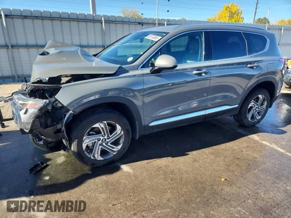 2022 Hyundai Santa Fe SEL with VIN 5NMS2DAJ5NH448842, listed as a Copart auction lot 89724865 with 30,643 mi miles and Salvage title. Bid and sale history available at DreamBid. Image 1.