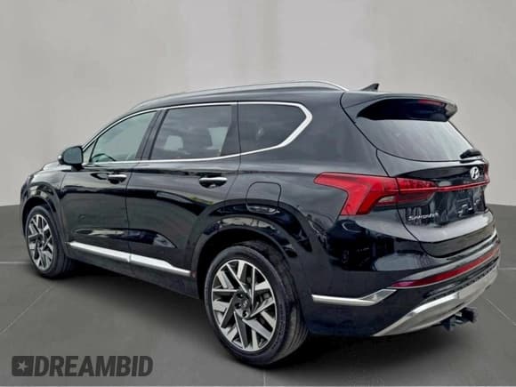 ✅ 2022 Hyundai Santa Fe Calligraphy • VIN: 5NMS54AL5NH439874 • Lot: 95009255. Listed on Copart with 73,847 mi. Free auction sales archive from the USA and detailed vehicle history report at DreamBid. Image 3.