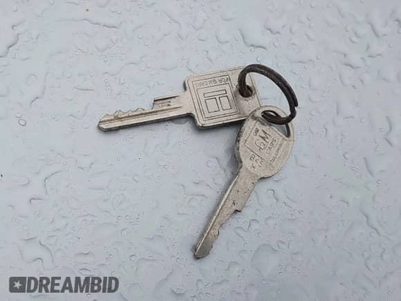 1994 Chevrolet Silverado 1500 z VIN 1GCEK14Z9RZ113856, wystawiony jako IAAI lot #43573290 z przebiegiem 247 761 mil mil oraz . Historia ofert i sprzedaży dostępna na DreamBid. Obrazek 11.