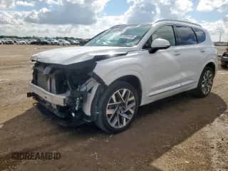 2023 Hyundai Santa Fe Calligraphy with VIN 5NMS54AL4PH492309, listed as a Copart auction lot 80995405 with 12,231 mi miles and Salvage title. Bid and sale history available at DreamBid. Image 1.