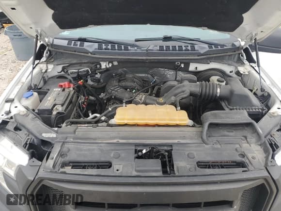 ✅ 2017 Ford F-150 XL • VIN: 1FTMF1C80HKD20135 • Lot: 60485725. Wystawiony na Copart z przebiegiem 185 526 mil. Bezpłatny archiwum sprzedaży aukcyjnych z USA i szczegółowy raport historii pojazdu na DreamBid. Zdjęcie 11.