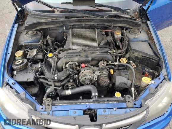 ✅ 2009 Subaru WRX w/Premium Pkg • VIN: JF1GE76629G516844 • Lot: 71596714. Listed on Copart with 179,256 mi. Free auction sales archive from the USA and detailed vehicle history report at DreamBid. Image 11.