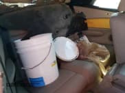 ✅ 2010 BMW 1 Series 128i • VIN: WBAUL7C55AVJ77587 • Lot: 80278305. Wystawiony na Copart z przebiegiem 223 260 mil. Bezpłatny archiwum sprzedaży aukcyjnych z USA i szczegółowy raport historii pojazdu na DreamBid. Zdjęcie 10.