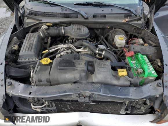 2003 Dodge Dakota SLT with VIN 1D7HL42X33S328572, listed as a Copart auction lot 43112125 with Not provided miles and Salvage title. Bid and sale history available at DreamBid. Image 13.