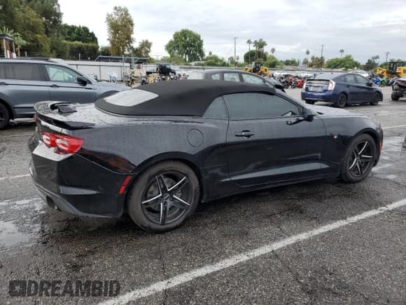 ✅ 2019 Chevrolet Camaro 1LT • VIN: 1G1FB3DS3K0103295 • Lot: 81135305. Listed on Copart with 74,599 mi. Free auction sales archive from the USA and detailed vehicle history report at DreamBid. Image 3.