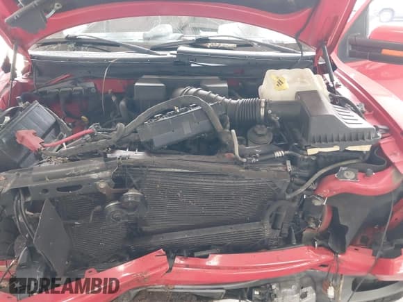 ✅ 2011 Ford F-150 SVT Raptor • VIN: 1FTFW1R65BFA60281 • Lot: 42783982. Listed on IAAI with 163,657 mi. Free auction sales archive from the USA and detailed vehicle history report at DreamBid. Image 10.