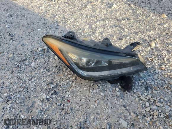 2015 Hyundai Genesis 3.8L z VIN KMHGN4JE9FU081532, wystawiony jako Copart lot #76014294 z przebiegiem 158 347 mil mil oraz Szkoda całkowita • Salvage title. Historia ofert i sprzedaży dostępna na DreamBid. Obrazek 12.