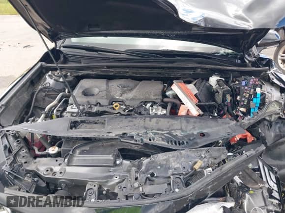 2024 Toyota Camry XLE with VIN 4T1F11AK2RU898129, listed as a IAAI auction lot 43292653 with Not provided miles and . Bid and sale history available at DreamBid. Image 10.