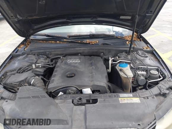 ✅ 2011 Audi A4 Premium • VIN: WAUAFAFL0BN011531 • Lot: 43423893. Listed on IAAI with 162,836 mi. Free auction sales archive from the USA and detailed vehicle history report at DreamBid. Image 10.