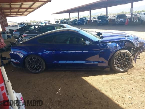 ✅ 2016 Ford Mustang GT Premium • VIN: 1FA6P8CF0G5242679 • Lot: 43462047. Listed on IAAI with Not provided. Free auction sales archive from the USA and detailed vehicle history report at DreamBid. Image 14.