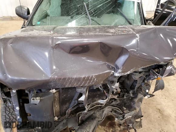 ✅ 2010 Chevrolet Silverado 1500 Work Truck • VIN: 3GCRKPE39AG177270 • Lot: 56904355. Listed on Copart with Not provided. Free auction sales archive from the USA and detailed vehicle history report at DreamBid. Image 11.