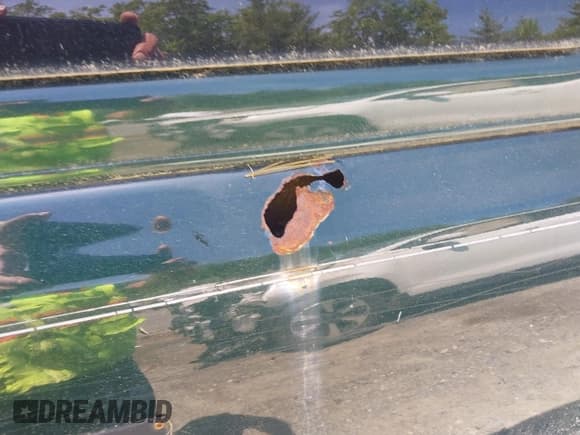 ✅ 2005 Chevrolet Silverado 1500 Work Truck • VIN: 1GCEC14X75Z145436 • Лот: 42414088. Опубликован ранее на IAAI с пробегом 181 641 миль. Бесплатный доступ к архиву аукционных продаж из США и подробный отчёт об истории автомобиля на DreamBid. Изображение 12.