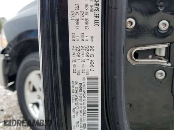 2009 Dodge 1500 TRX with VIN 1D3HB13P89S718769, listed as a Copart auction lot 42966605 with 176,378 mi miles and Salvage title. Bid and sale history available at DreamBid. Image 13.