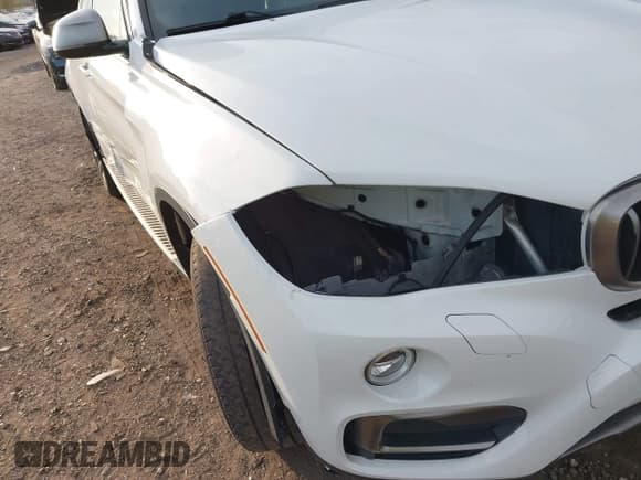 ✅ 2017 BMW X6 xDrive35i • VIN: 5UXKU2C39H0U29727 • Lot: 43534887. Wystawiony na IAAI z przebiegiem 77 299 mil. Bezpłatny archiwum sprzedaży aukcyjnych z USA i szczegółowy raport historii pojazdu na DreamBid. Zdjęcie 17.