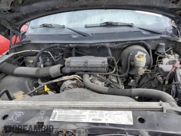 1998 Dodge 1500 z VIN 3B7HF13Y8WG215512, wystawiony jako Copart lot #76803314 z przebiegiem Nie podano mil oraz Szkoda całkowita • Salvage title. Historia ofert i sprzedaży dostępna na DreamBid. Obrazek 11.