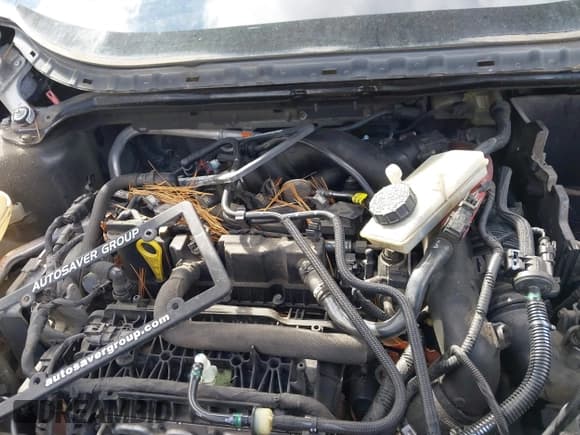 ✅ 2018 Ford Escape SEL • VIN: 1FMCU9HD7JUB33972 • Lot: 43545123. Listed on IAAI with 168,581 mi. Free auction sales archive from the USA and detailed vehicle history report at DreamBid. Image 10.