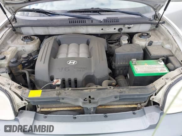 2003 Hyundai Santa Fe GLS с VIN KM8SC13D13U355367, выставлен на аукционе IAAI как лот 41546619 с пробегом 167 288 миль миль и . История ставок и продаж доступна на DreamBid. Изображение 10.