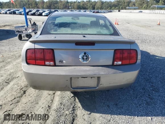 ✅ 2008 Ford Mustang Deluxe • VIN: 1ZVHT80N885134920 • Лот: 81309985. Опубликован ранее на Copart с пробегом Не указан. Бесплатный доступ к архиву аукционных продаж из США и подробный отчёт об истории автомобиля на DreamBid. Изображение 6.