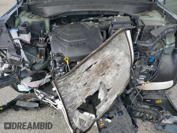 ✅ 2025 Kia Telluride EX X-Line • VIN: 5XYP3DGC3SG576949 • Lot: 89709405. Listed on Copart with 19,023 mi. Free auction sales archive from the USA and detailed vehicle history report at DreamBid. Image 12.