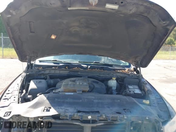 ✅ 2015 Ram 1500 Big Horn • VIN: 1C6RR6LM0FS529953 • Лот: 43481294. Опубликован ранее на IAAI с пробегом 296 060 миль. Бесплатный доступ к архиву аукционных продаж из США и подробный отчёт об истории автомобиля на DreamBid. Изображение 10.