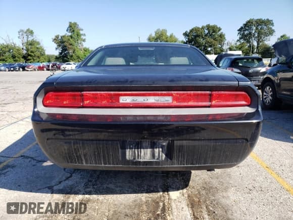 ✅ 2010 Dodge Challenger SE • VIN: 2B3CJ4DV3AH208430 • Lot: 67512574. Wystawiony na Copart z przebiegiem 125 759 mil. Bezpłatny archiwum sprzedaży aukcyjnych z USA i szczegółowy raport historii pojazdu na DreamBid. Zdjęcie 6.