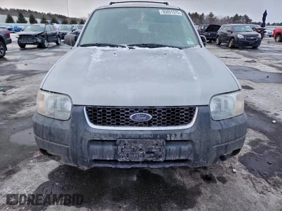 ✅ 2003 Ford Escape XLT Popular 2 • VIN: 1FMYU93133KB85553 • Lot: 95891575. Listed on Copart with 130,488 mi. Free auction sales archive from the USA and detailed vehicle history report at DreamBid. Image 5.