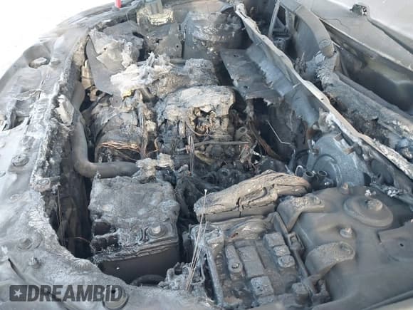 ✅ 2013 Kia Sorento EX • VIN: 5XYKUDA66DG422796 • Lot: 41557980. Listed on IAAI with Not provided. Free auction sales archive from the USA and detailed vehicle history report at DreamBid. Image 6.