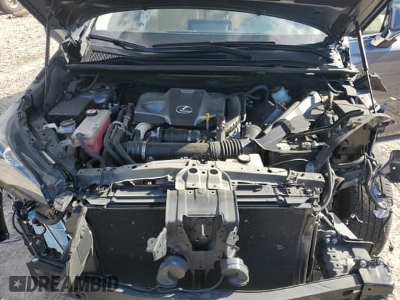 ✅ 2021 Lexus NX 300 • VIN: JTJGARDZ0M2239676 • Lot: 85559085. Listed on Copart with 42,155 mi. Free auction sales archive from the USA and detailed vehicle history report at DreamBid. Image 12.