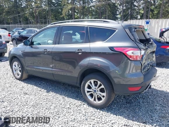 ✅ 2017 Ford Escape SE • VIN: 1FMCU9G99HUE48621 • Lot: 42171602. Wystawiony na IAAI z przebiegiem 95 179 mil. Bezpłatny archiwum sprzedaży aukcyjnych z USA i szczegółowy raport historii pojazdu na DreamBid. Zdjęcie 3.