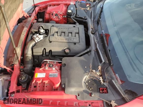 ✅ 2008 Jaguar XK • VIN: SAJWA43B585B23288 • Лот: 88976075. Опубликован ранее на Copart с пробегом 146 407 миль. Бесплатный доступ к архиву аукционных продаж из США и подробный отчёт об истории автомобиля на DreamBid. Изображение 11.