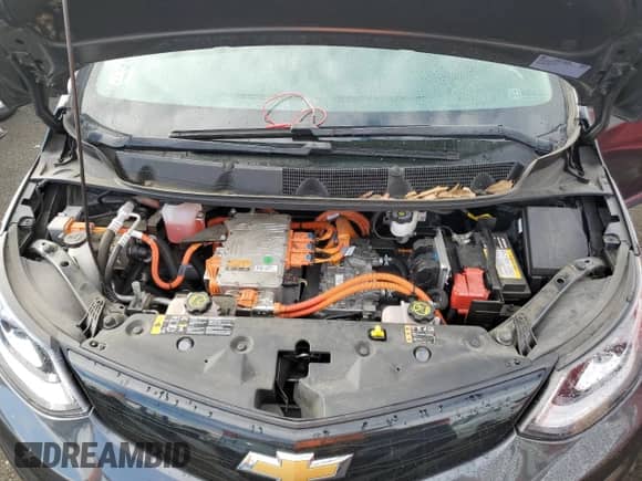 2017 Chevrolet Bolt EV Premier z VIN 1G1FX6S05H4143058, wystawiony jako Copart lot #77583773 z przebiegiem Nie podano mil oraz . Historia ofert i sprzedaży dostępna na DreamBid. Obrazek 11.
