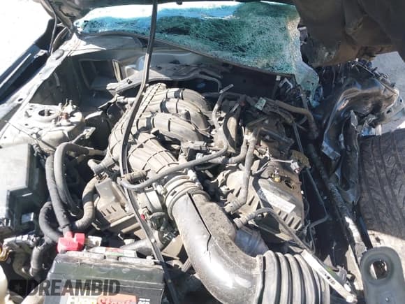 ✅ 2017 Ford Mustang V6 • VIN: 1FA6P8AMXH5208168 • Lot: 42106615. Wystawiony na IAAI z przebiegiem Nie podano. Bezpłatny archiwum sprzedaży aukcyjnych z USA i szczegółowy raport historii pojazdu na DreamBid. Zdjęcie 10.