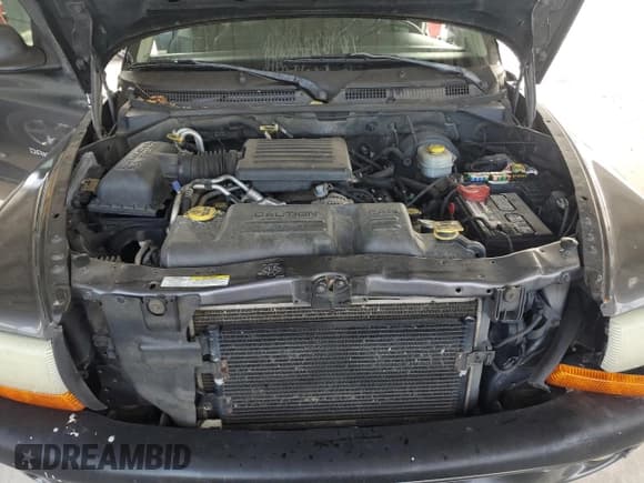 ✅ 2002 Dodge Dakota Sport • VIN: 1B7HG38N12S515919 • Lot: 42930835. Wystawiony na Copart z przebiegiem 180 701 mil. Bezpłatny archiwum sprzedaży aukcyjnych z USA i szczegółowy raport historii pojazdu na DreamBid. Zdjęcie 11.