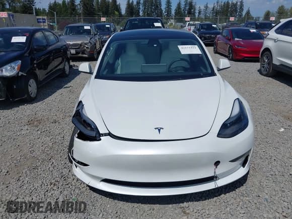 ✅ 2022 Tesla Model 3 Long Range • VIN: 5YJ3E1EB6NF110719 • Lot: 42172421. Wystawiony na IAAI z przebiegiem 44 772 mil. Bezpłatny archiwum sprzedaży aukcyjnych z USA i szczegółowy raport historii pojazdu na DreamBid. Zdjęcie 13.