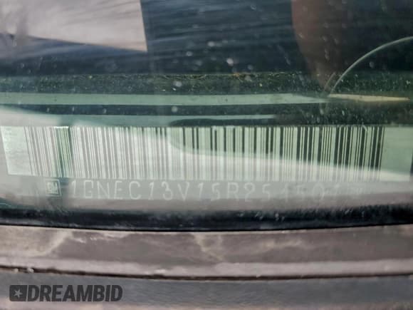 ✅ 2005 Chevrolet Tahoe LS • VIN: 1GNEC13V15R254501 • Lot: 95501555. Listed on Copart with 170,417 mi. Free auction sales archive from the USA and detailed vehicle history report at DreamBid. Image 13.