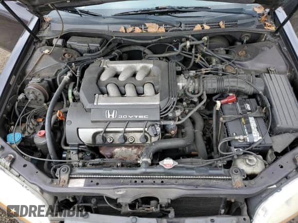 1999 Honda Accord EX с VIN 1HGCG2255XA026290, выставлен на аукционе Copart как лот 89695325 с пробегом 189 230 миль миль и Списание • Salvage title. История ставок и продаж доступна на DreamBid. Изображение 11.