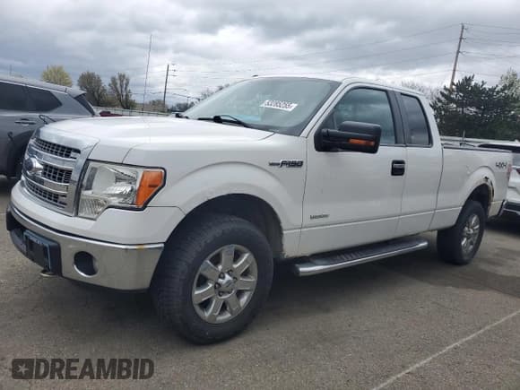 ✅ 2013 Ford F-150 XL • VIN: 1FTFX1ET4DFD31973 • Lot: 53285255. Wystawiony na Copart z przebiegiem 201 594 mil. Bezpłatny archiwum sprzedaży aukcyjnych z USA i szczegółowy raport historii pojazdu na DreamBid. Zdjęcie 1.