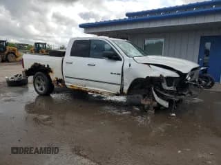 ✅ 2010 Dodge 1500 SLT • VIN: 1D7RV1GP1AS161440 • Lot: 59838445. Wystawiony na Copart z przebiegiem 156 815 mil. Bezpłatny archiwum sprzedaży aukcyjnych z USA i szczegółowy raport historii pojazdu na DreamBid. Zdjęcie 4.