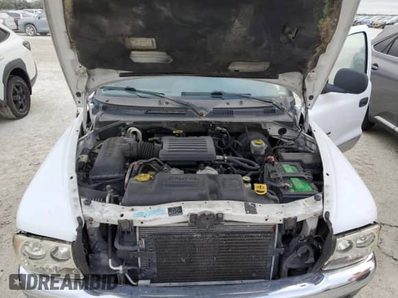 2000 Dodge Dakota Sport z VIN 1B7GL2AN5YS642063, wystawiony jako Copart lot #76665334 z przebiegiem Nie podano mil oraz Nie do naprawy • Non repairable. Historia ofert i sprzedaży dostępna na DreamBid. Obrazek 11.