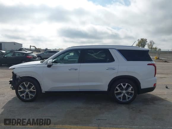 ✅ 2020 Hyundai Palisade SEL • VIN: KM8R4DHE4LU134554 • Lot: 43585546. Listed on IAAI with 95,251 mi. Free auction sales archive from the USA and detailed vehicle history report at DreamBid. Image 15.