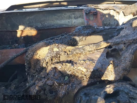 ✅ 1999 Ford F-250 XL • VIN: 1FTNW21F3XEE49527 • Lot: 43710429. Listed on IAAI with Not provided. Free auction sales archive from the USA and detailed vehicle history report at DreamBid. Image 7.